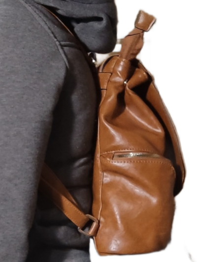 Backpack/Handbag